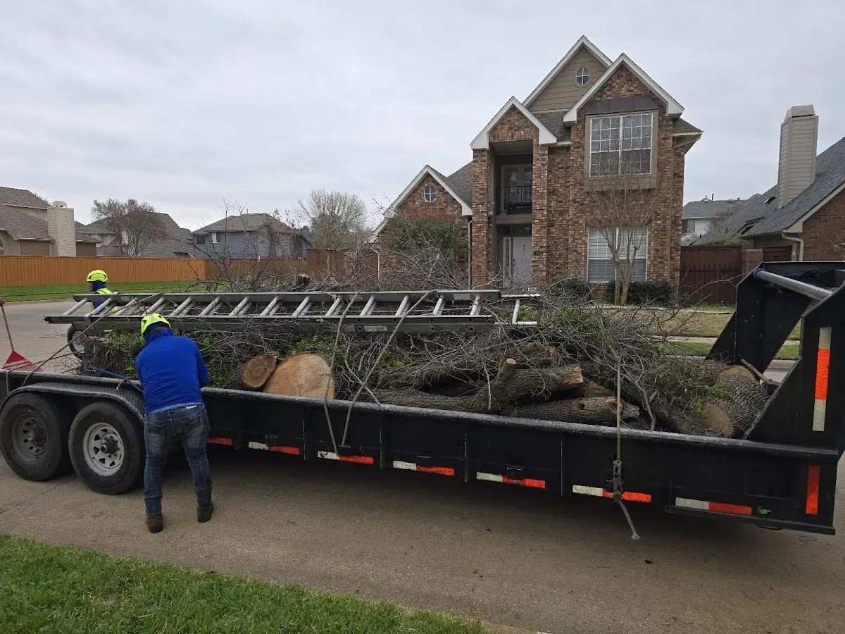 Expert Tree Removal with proper safety equipment in Herndon